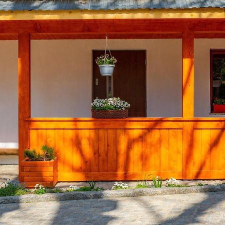 Apartament Lesny Ζακοπάνε Εξωτερικό φωτογραφία