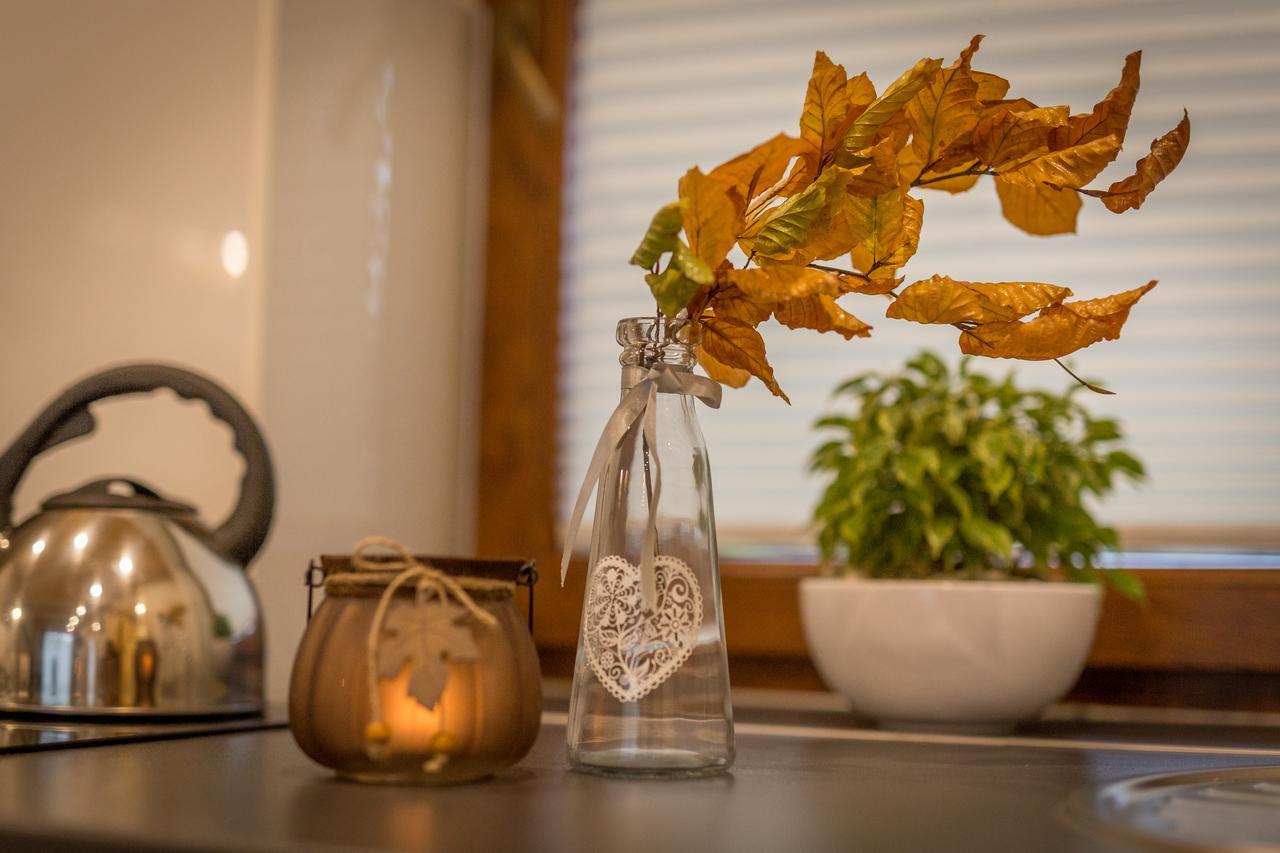 Apartament Lesny Ζακοπάνε Εξωτερικό φωτογραφία